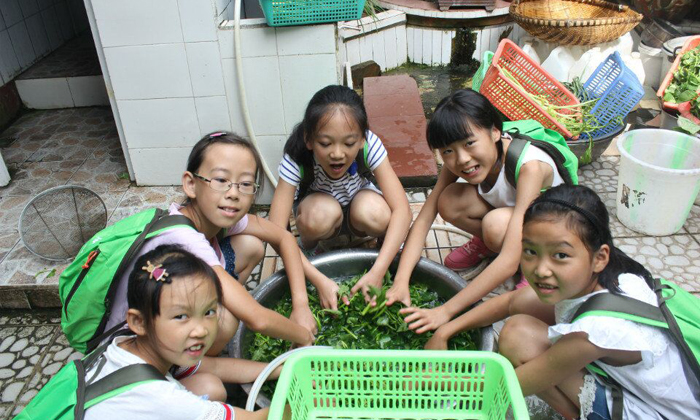 國內(nèi)青少年夏令營