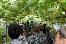 盤點國內(nèi)青少年夏令營哪個好？