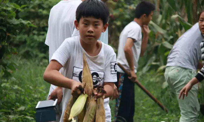 國學兒童夏令營多少錢