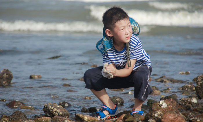 小學(xué)生海濱夏令營有哪幾家