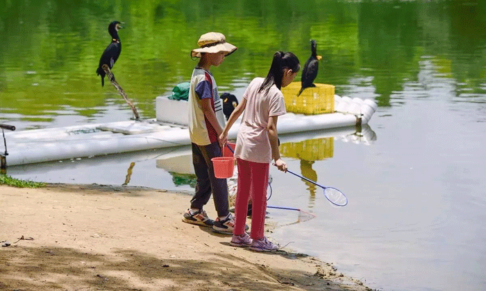 小學(xué)生海濱夏令營哪里有