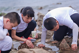 海琴帆夏令營(yíng)有哪些課程體系？