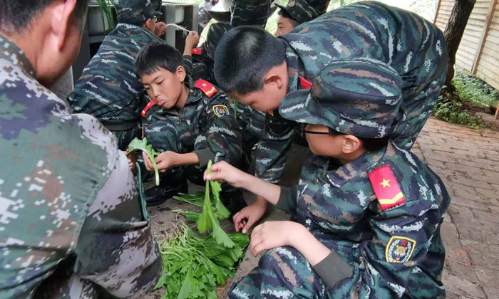 杭州有哪些好的夏令營
