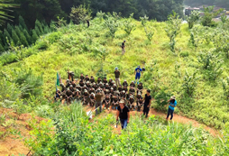 杭州拓展夏令營(yíng)為什么如此受青睞？