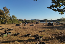河北橄欖綠綜合訓練基地