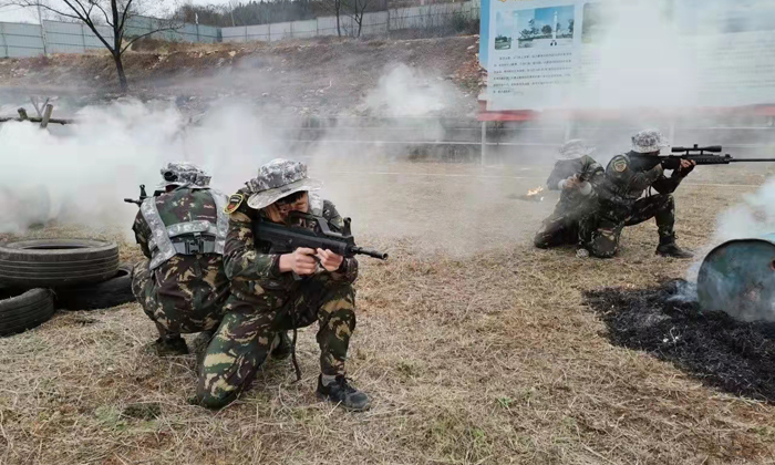 合肥小學(xué)生軍事夏令營有哪些
