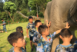 參加合肥中學(xué)生夏令營培養(yǎng)孩子吃苦耐勞