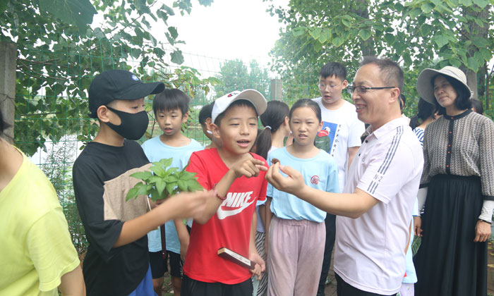 開封小學生夏令營哪里比較好