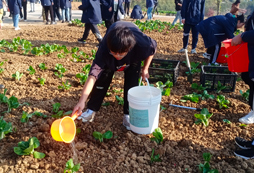 給蔬菜澆水