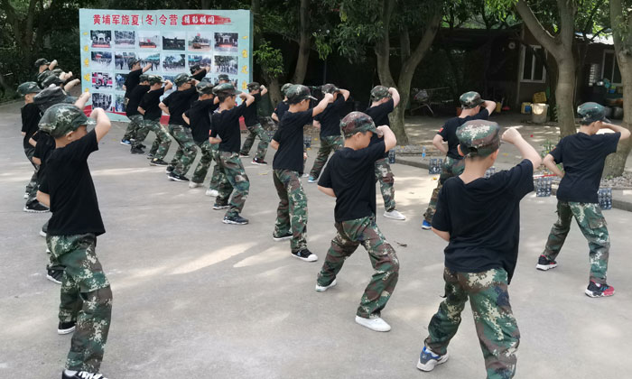 在樹(shù)蔭下打軍體拳的孩子們