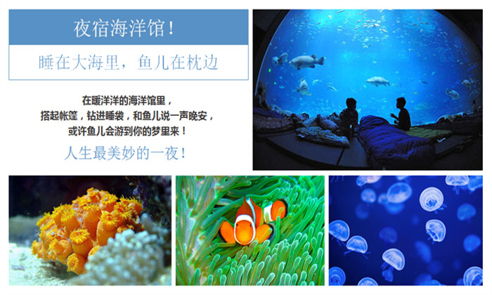 浙江探索夏令營