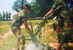 青少年參加華南軍事夏令營會有哪些收益