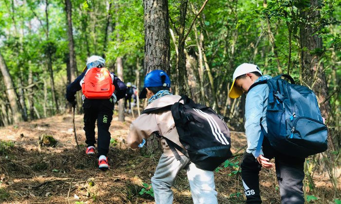 黃山青少年游學夏令營.jpg