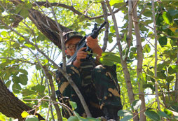 黃山軍事夏令營課程有什么特色？