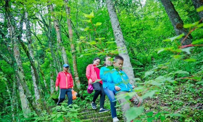 黃山研學夏令營哪家好