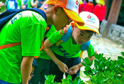 湖北周邊夏令營哪里比較好