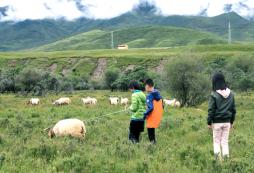 呼和浩特有適合親子的游學(xué)夏令營(yíng)嗎？