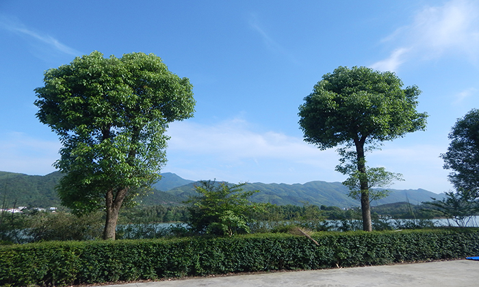 湖南夏令營(yíng)