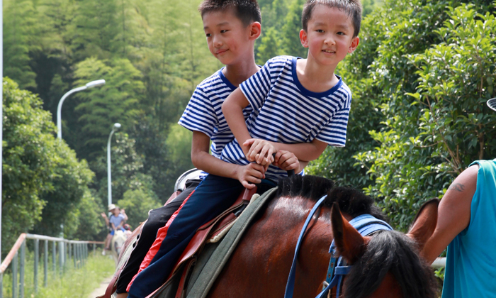 湖州夏令營多少錢