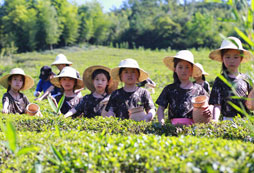 孩子參加湖州夏令營活動有哪些好處？