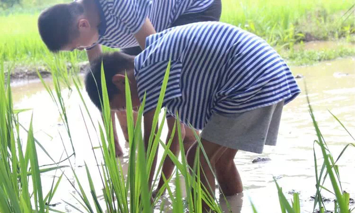 湖州夏令營(yíng)好處有哪些
