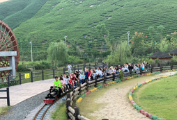 湖州夏令營教會孩子什么？