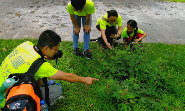 湖州夏令營(yíng)課程的好處.jpg