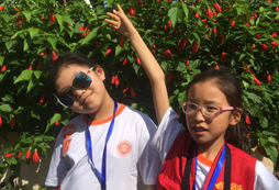青少年參加寧夏沙漠夏令營收獲