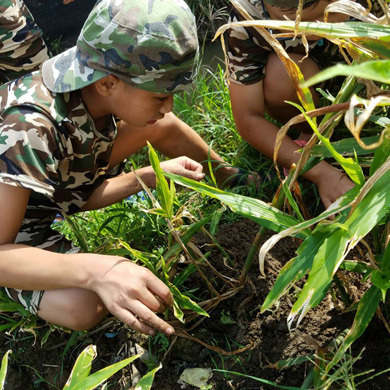 參加暑期軍事特訓安全有保障嗎
