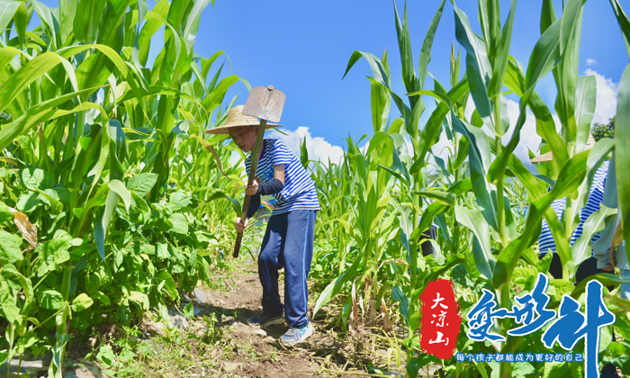 變形計之干農活