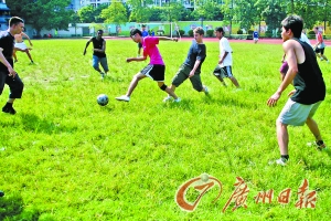 新西蘭牧場“體驗”修學游