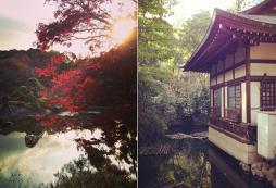 有去日本東京的游學(xué)團(tuán)嗎？