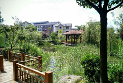 活動環(huán)境