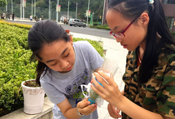 江蘇21軍事訓(xùn)練營的費(fèi)用是多少