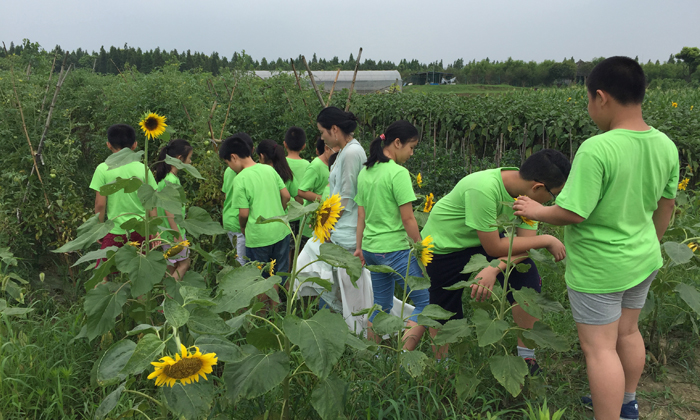 焦作自然探索夏令營可以給孩子帶來的好處有哪些？.jpg