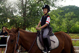 國慶馬術夏令營有哪些特色內容？