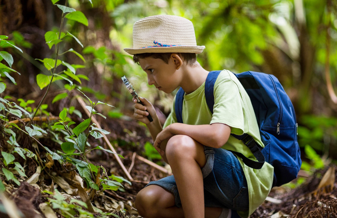 2018嘉善青少年軍旅勵志夏令營的費用是多少？
