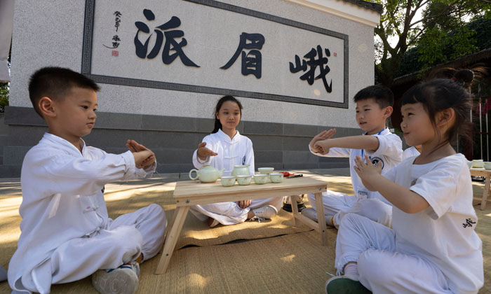 峨眉武術(shù)夏令營