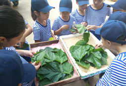 參加嘉善青少年夏令營體驗軍旅生活