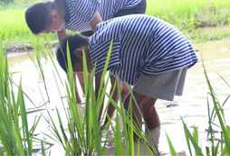 嘉善小學(xué)生夏令營帶你一起去挑戰(zhàn)自然