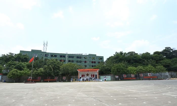 中小學(xué)生參加嘉興學(xué)能夏令營開發(fā)大腦潛能！
