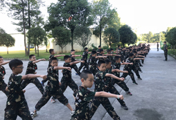 剛勁有力