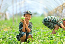 參加10天軍事夏令營去哪報(bào)名，五大熱門活動推薦