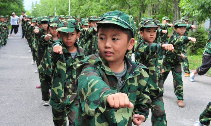 軍事夏令營收獲
