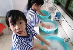 菁英樹教育內(nèi)容有哪些？