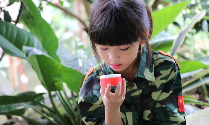 軍中綠花