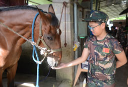 牽馬