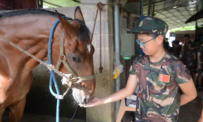 牽馬