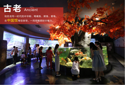一次國學(xué)經(jīng)典夏令營,讓孩子受益終生!