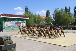 軍中鐵拳